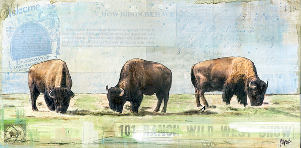 Bison Trio, 6" x 12"