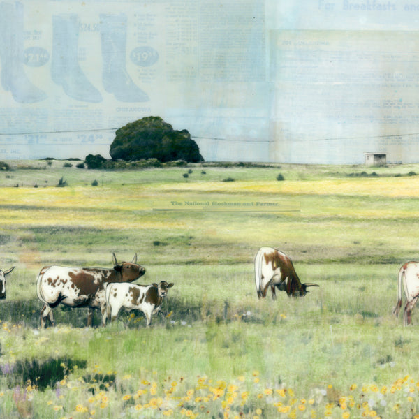 C'mon Down to the Ranch, 24x48" Framed