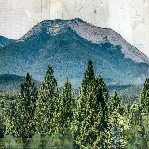 Into the Wilderness, 10" x 20"