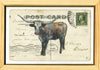 Longhorn PC #3, 4" x 6" framed to 5x7