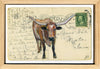 Longhorn Post III, 4" x 6" framed to 5x7