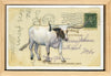 Longhorn Post V, 4" x 6" framed to 5x7