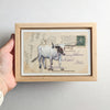Longhorn Post V, 4" x 6" framed to 5x7