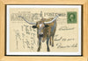 Longhorn Post #3, 4" x 6" framed to 5x7