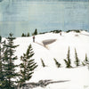 Near the Cornice, 8" x 8"