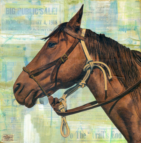 The Companion, 18" x 18"