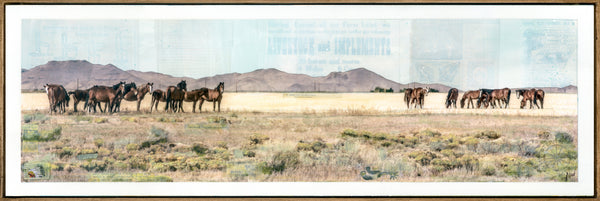Wild Band, 12" x 36" Framed