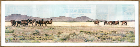 Wild Band, 12" x 36" Framed