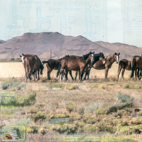 Wild Band, 12" x 36" Framed