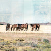 Wild Band, 12" x 36" Framed