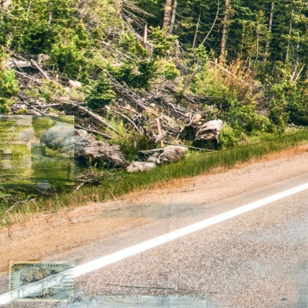 Alpine Drive, 24" x 36"
