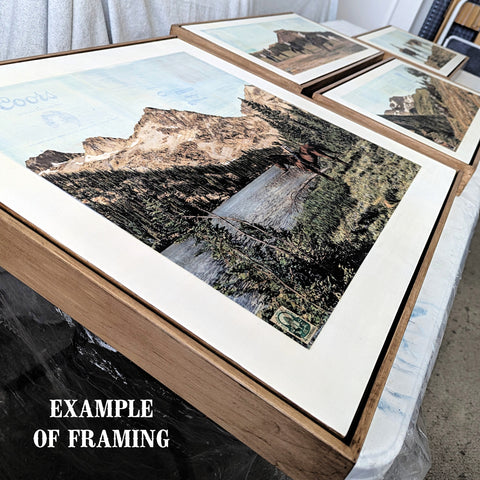 Prairie Rose, 12" x 12" Framed