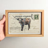 Longhorn PC #3, 4" x 6" framed to 5x7