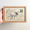 PC Longhorn #4, 4" x 6" framed to 5x7