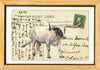 PC Longhorn #4, 4" x 6" framed to 5x7