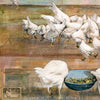 Scattering Grains, 18" x 18"