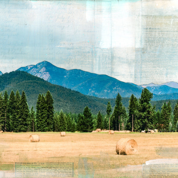 Second Cutting, 12" x 36"