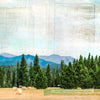 Second Cutting, 12" x 36"