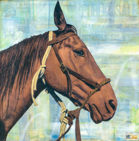 Steady Partner, 18" x 18"