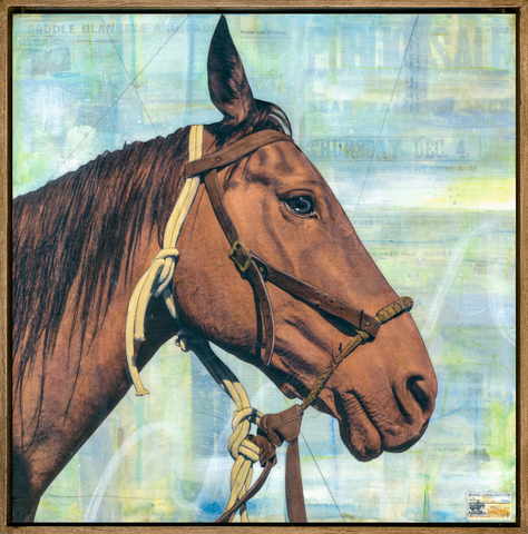 Steady Partner, 18" x 18" Framed