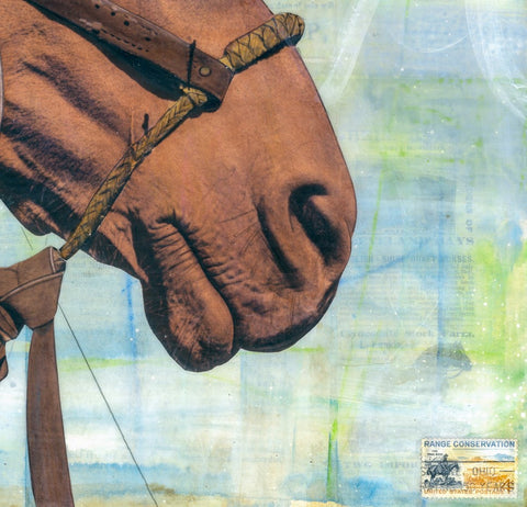 Steady Partner, 18" x 18" Framed