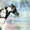 Trick Rider, 36" x 36" Framed