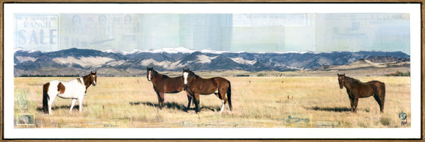 Wild on the Ranch, 12" x 36" Framed