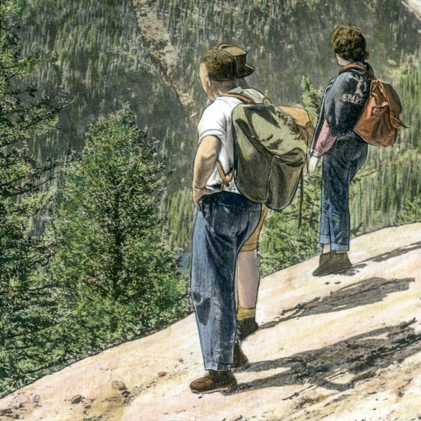 Will Hike for Views, 12" x 9"