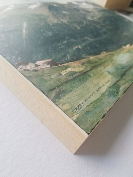 Few Small Glaciers,12" x 12"