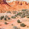 Cool Southwest, 18" x 18"