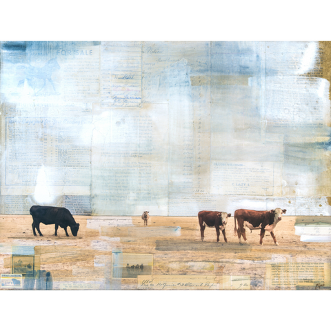 Cows and Plains, 18" x 24"
