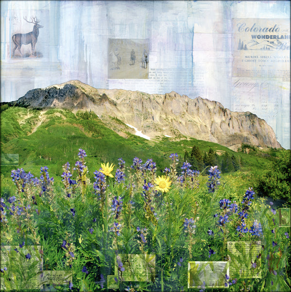 Gothic Summer, 24" x 24"