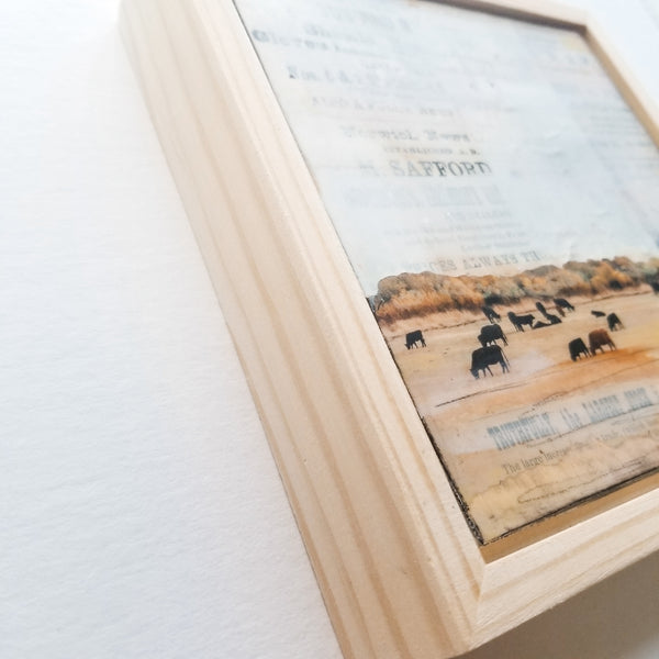 Grazing II, 6" x 6" (Framed)