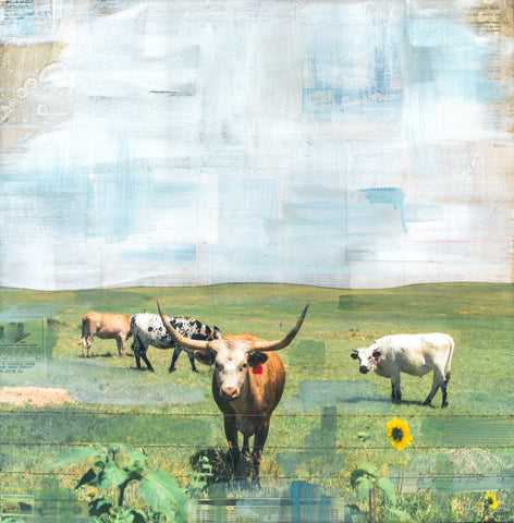 Longhorns and Sunflowers, 24" x 24"