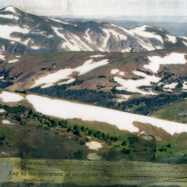 Vacation at Estes, 6" x 18"