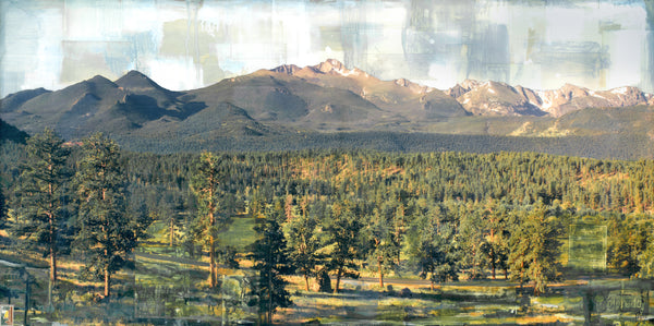 Among the Trees, 24" x 48"