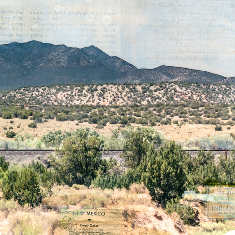 Southwest Tracks, 12" x 24"