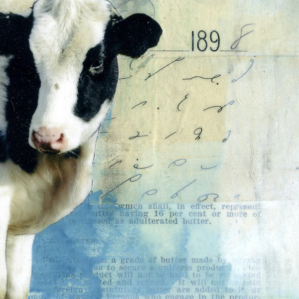 Sweet Cow III, 8" x 10" (Framed)