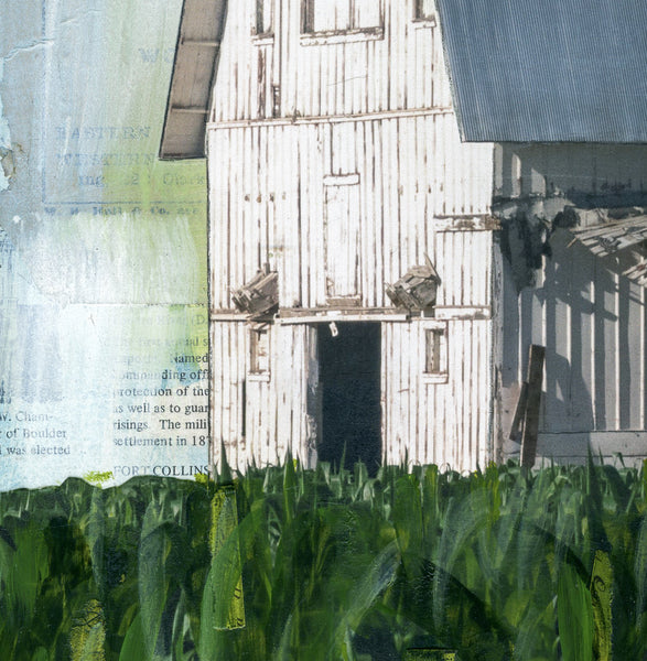The Corn is High, 20" x 20"