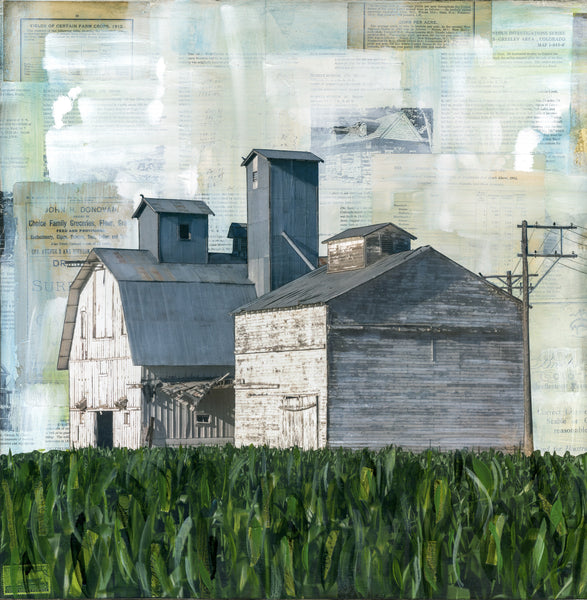 The Corn is High, 20" x 20"