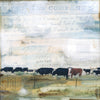 Wary Bovine, 6" x 6" (Framed)