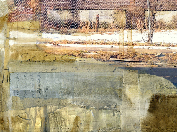 Good Bones, 16" x 20" - J.C. Spock